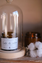 CANDELA CIELO DI COTONE