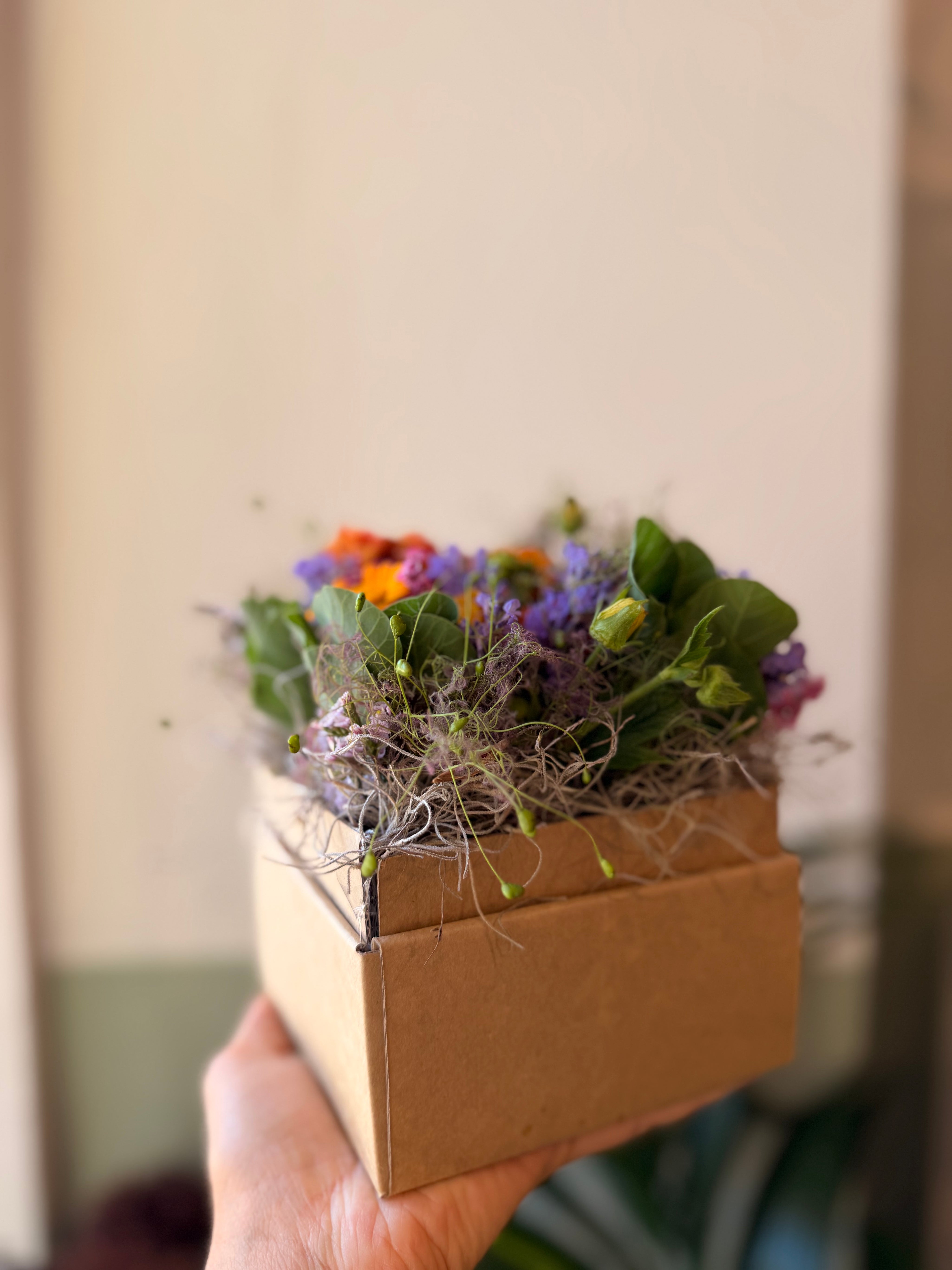 Flower Box piccola