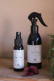ACQUA AMBIENTE SPRAY CIN CIN