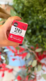 CALENDARIO FILOSOFICO MIGNON A8