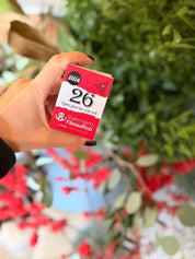 CALENDARIO FILOSOFICO MIGNON A8