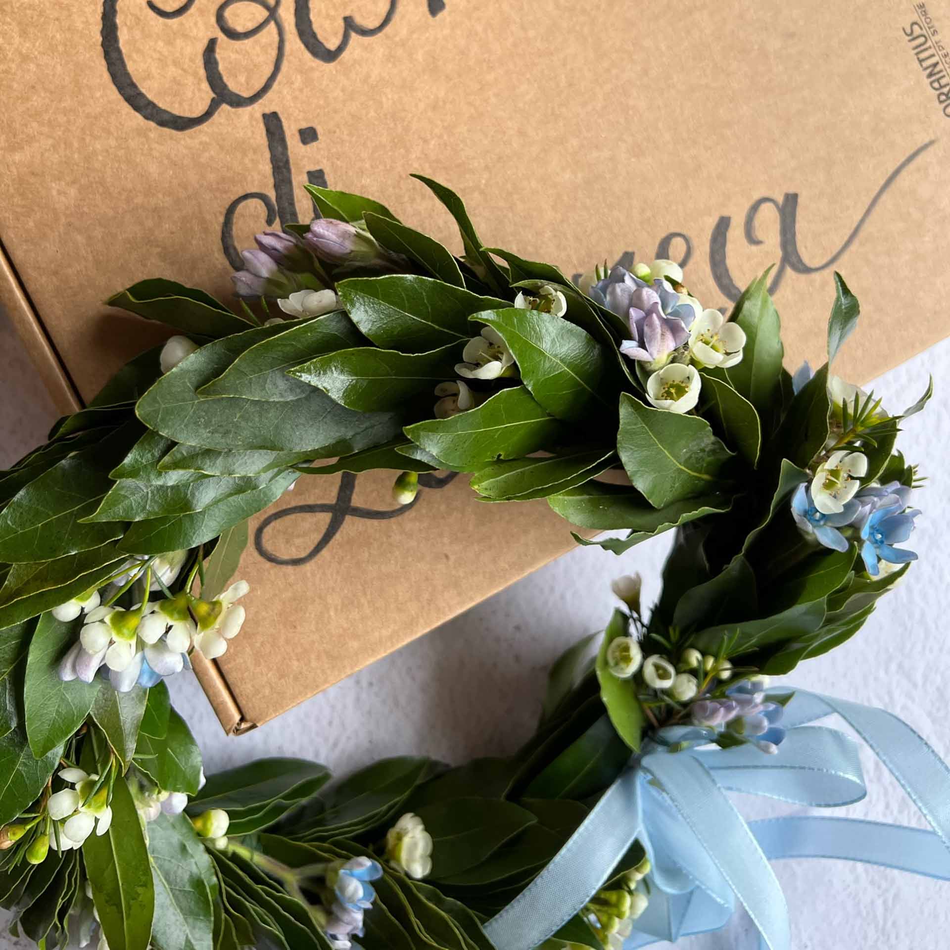 Corona Laurea Selene