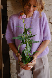 MAGLIA NINFEA LILLA