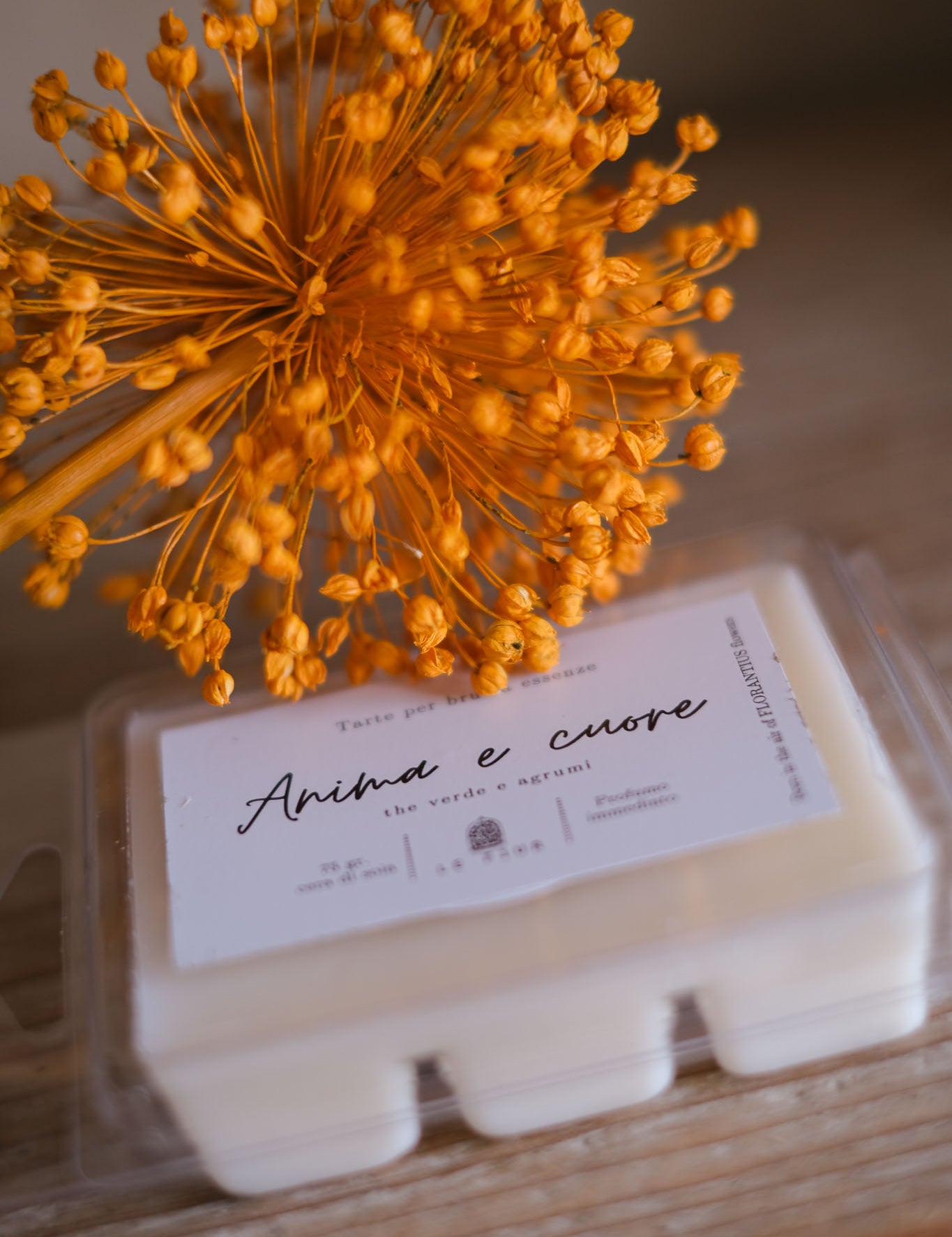 animaecuoretarte-2.jpg