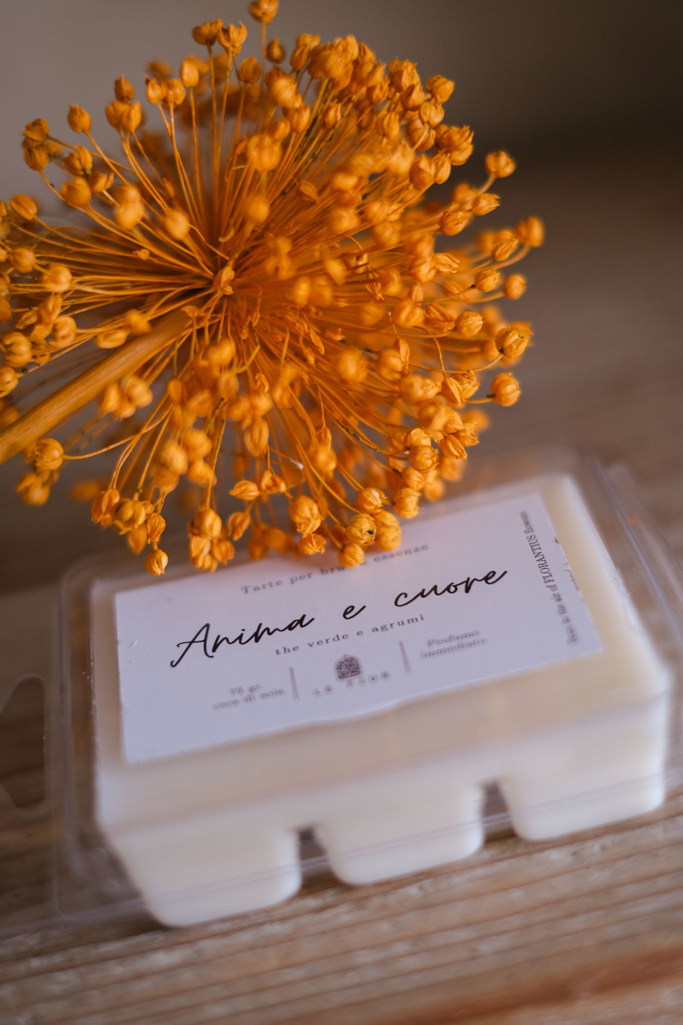 TARTE ANIMA E CUORE