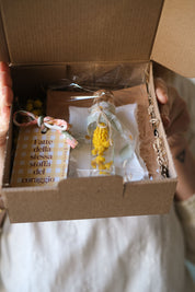 Box mimosa Florantius