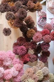 FIORI DI ALLIUM ESSICCATI MARRONE