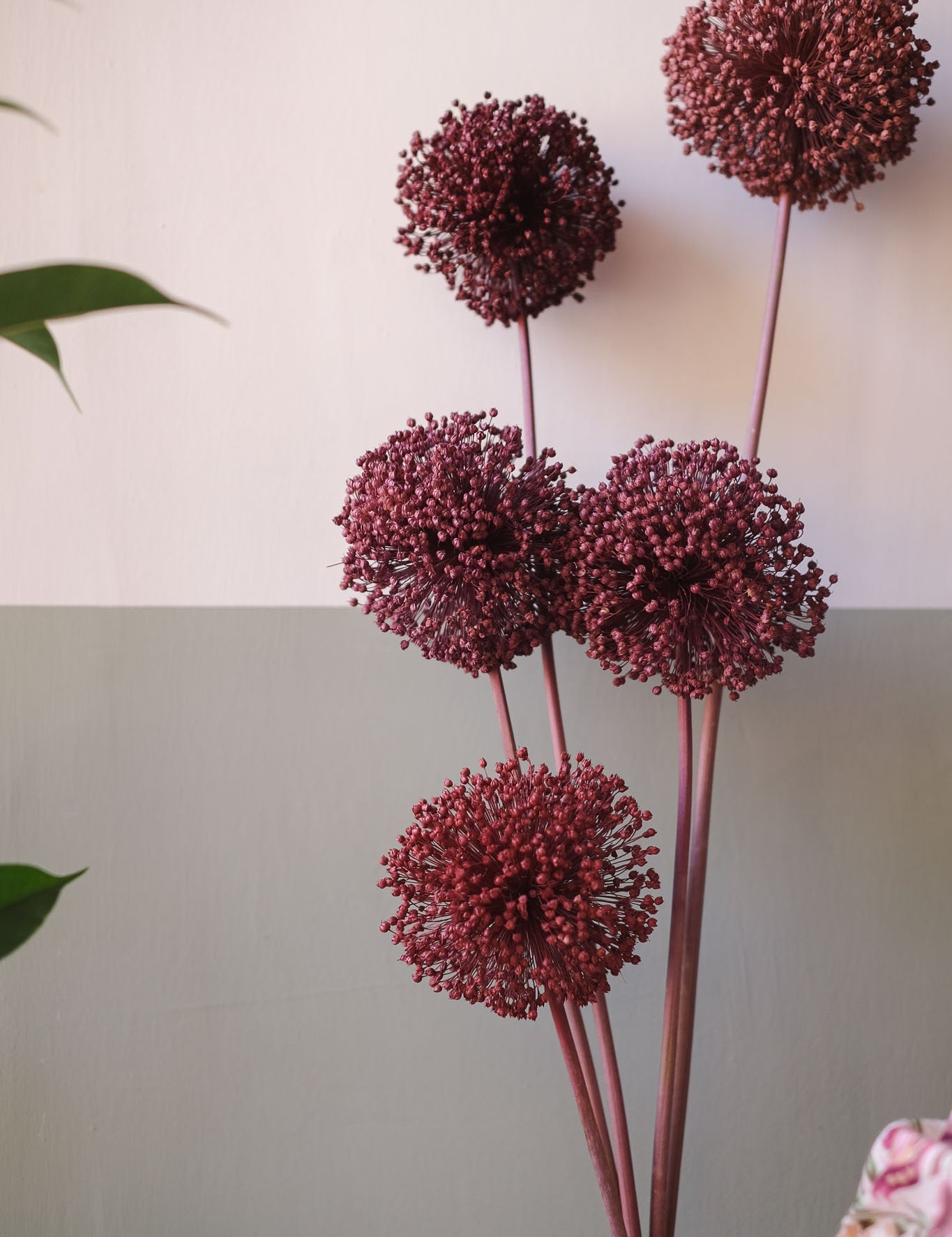 fioriallium-12.jpg