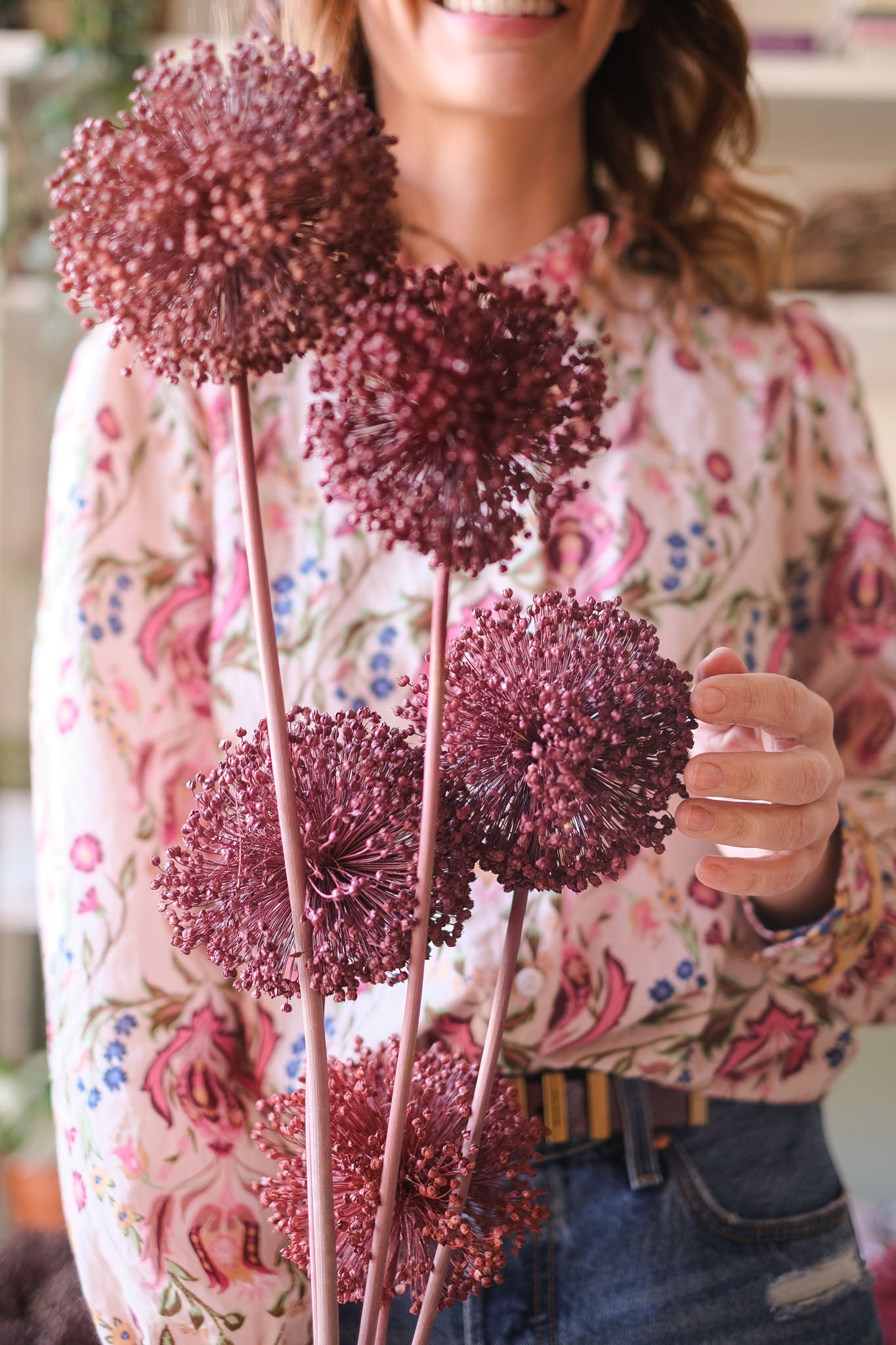 FIORI DI ALLIUM ESSICCATI BORDEAUX