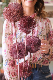 FIORI DI ALLIUM ESSICCATI BORDEAUX