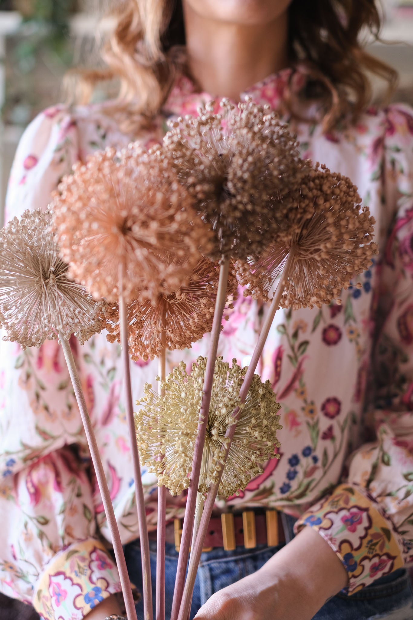FIORI DI ALLIUM ESSICCATI BIANCO E NEUTRI