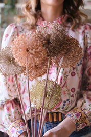 FIORI DI ALLIUM ESSICCATI BIANCO E NEUTRI