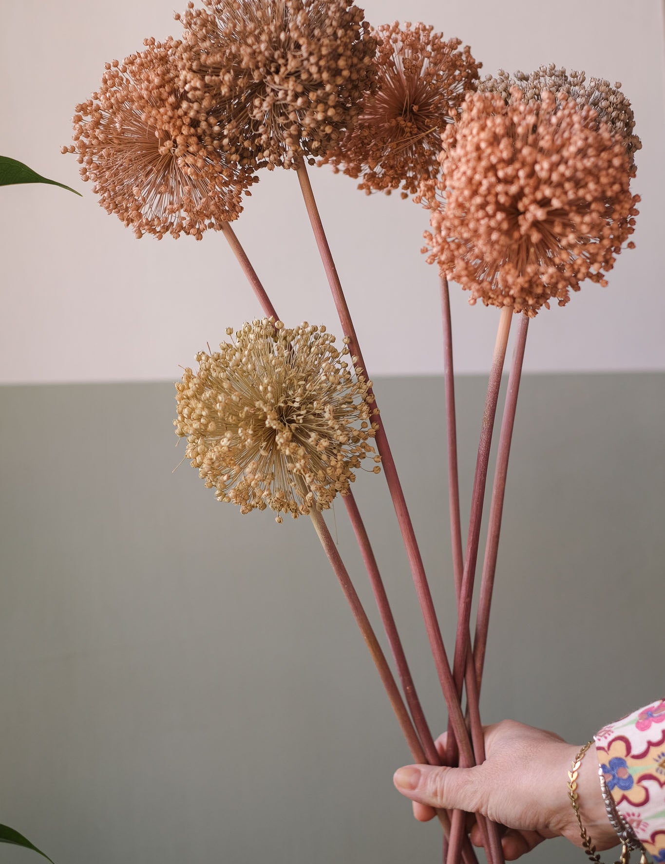 fioriallium-17.jpg