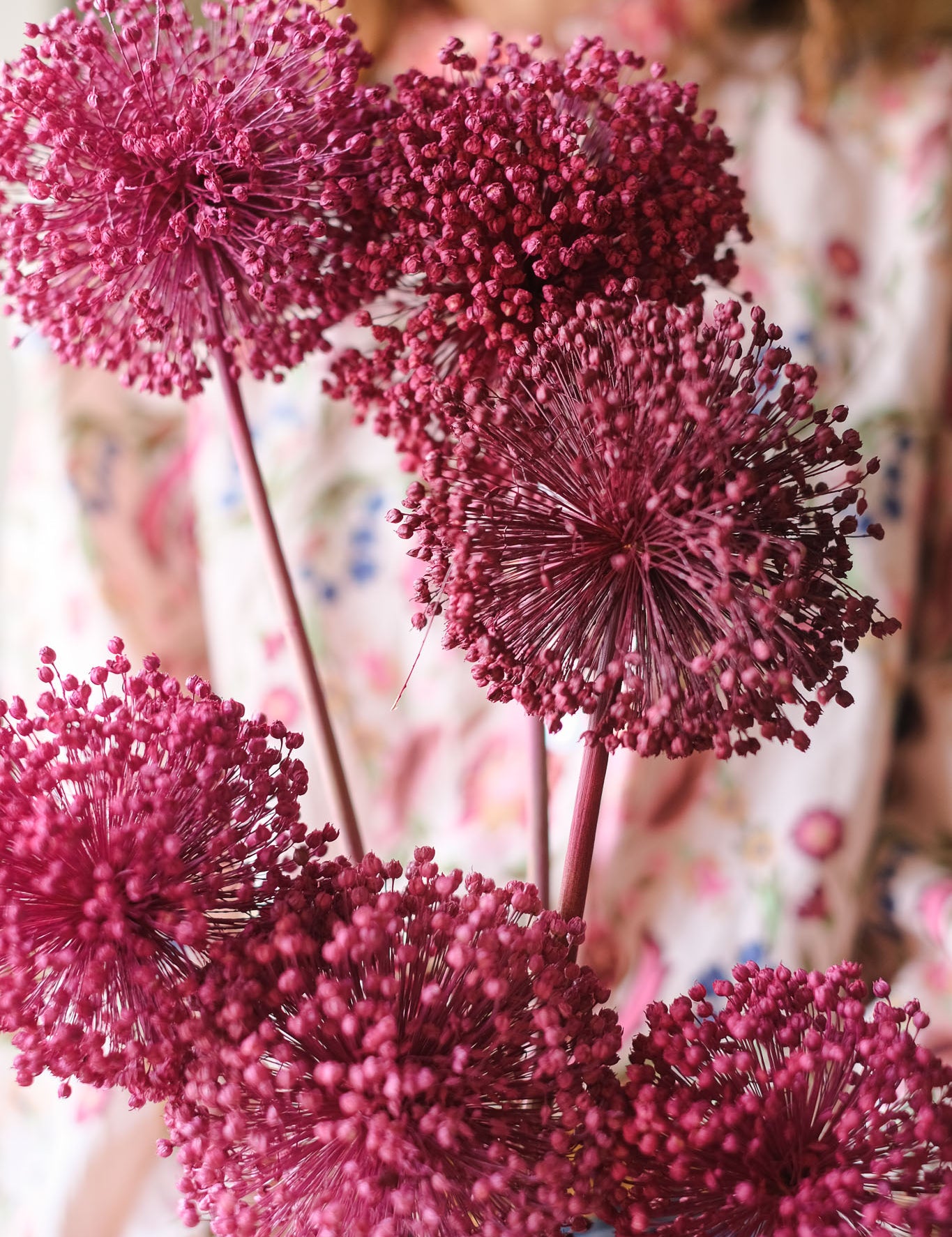 fioriallium-20.jpg