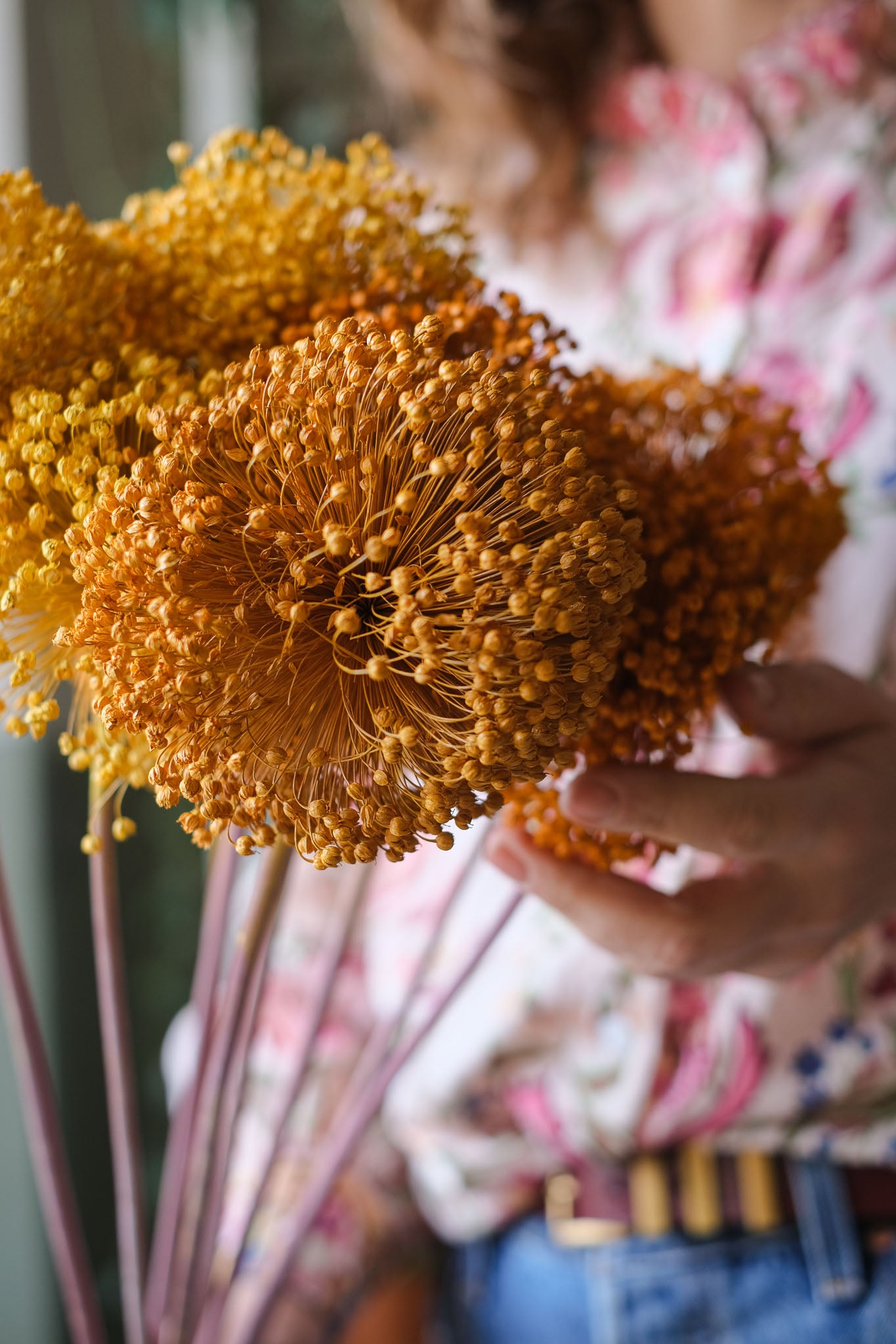 FIORI DI ALLIUM ESSICCATI GIALLO