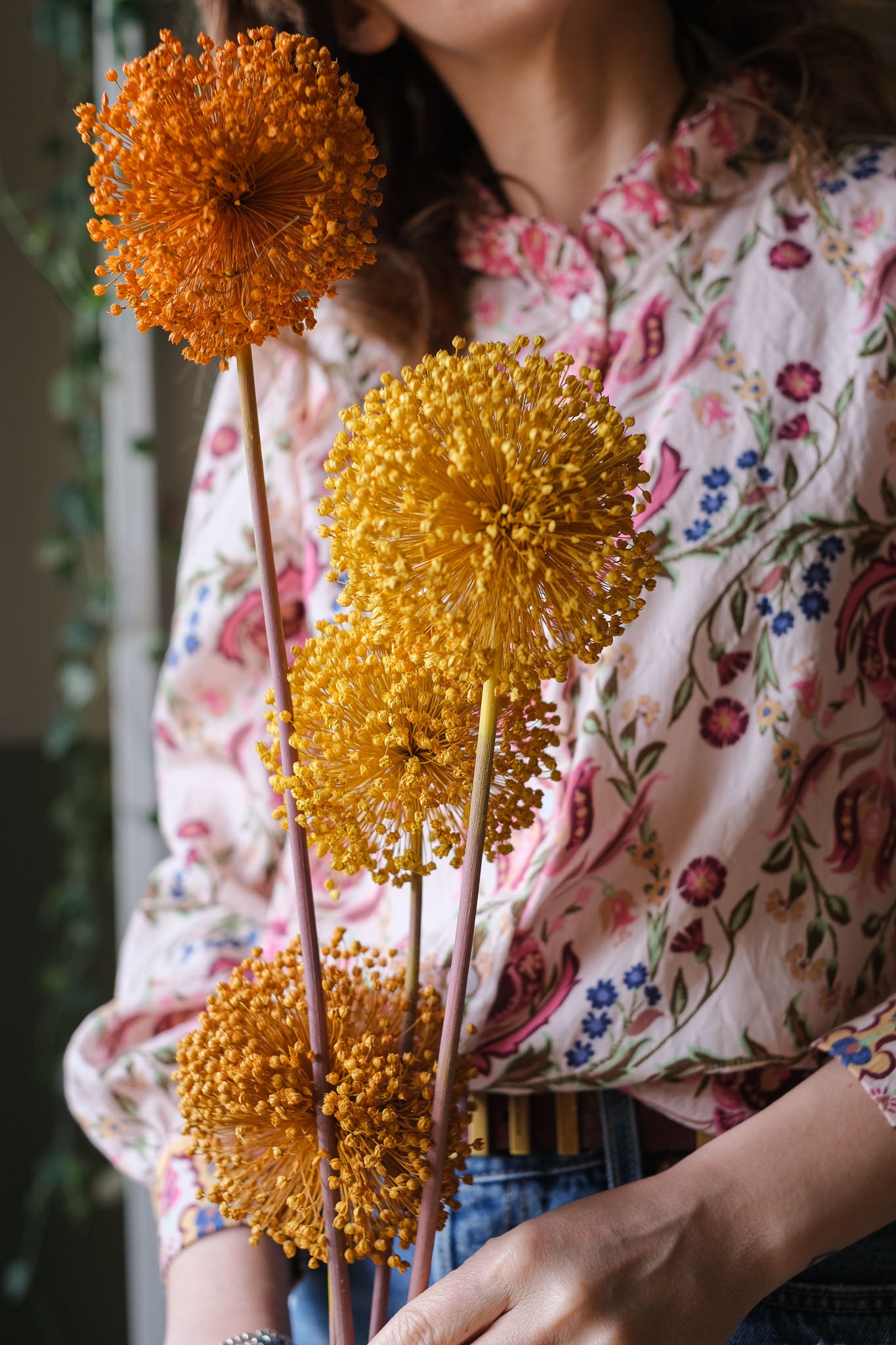 FIORI DI ALLIUM ESSICCATI GIALLO