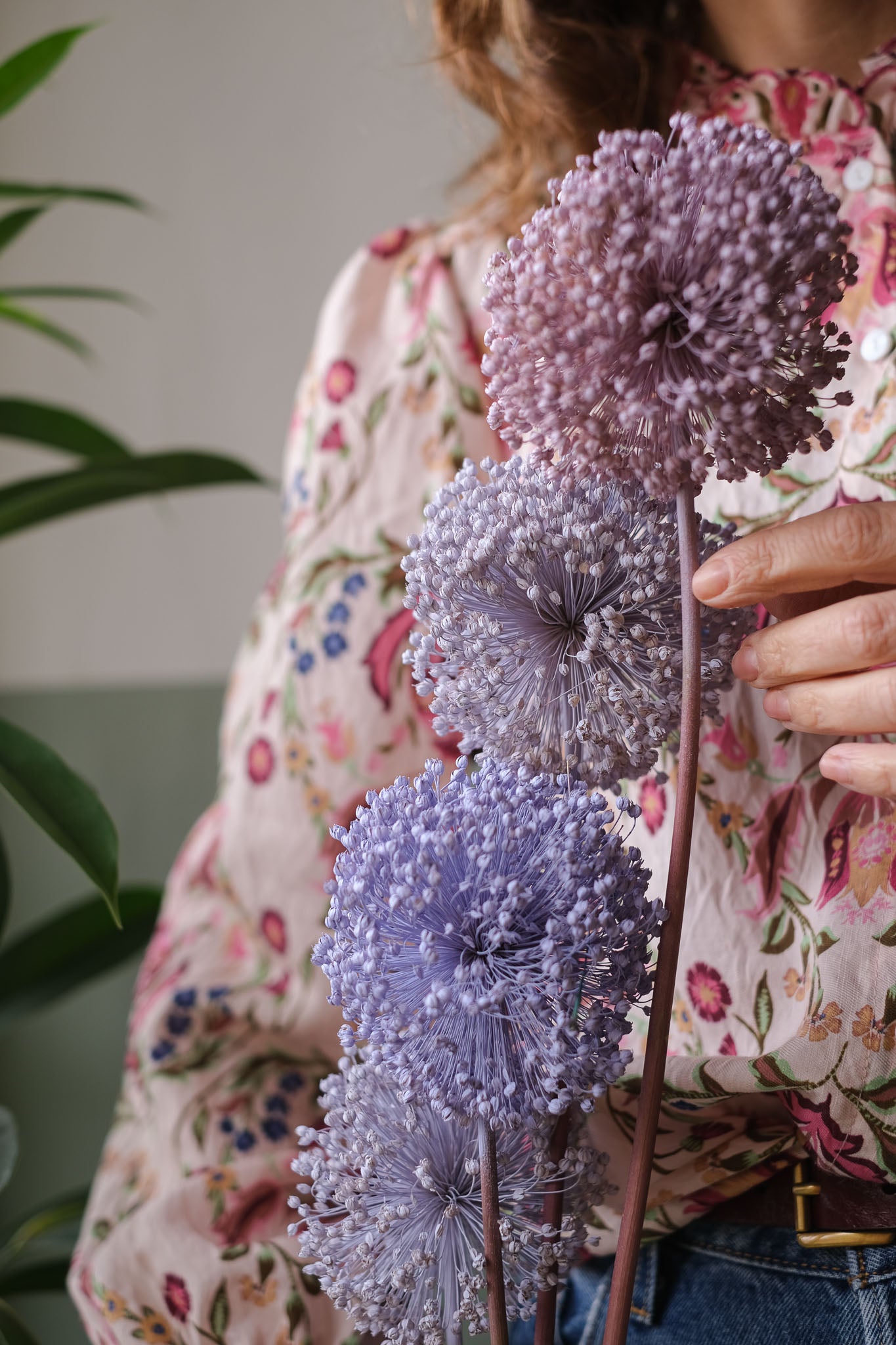 FIORI DI ALLIUM ESSICCATI LILLA