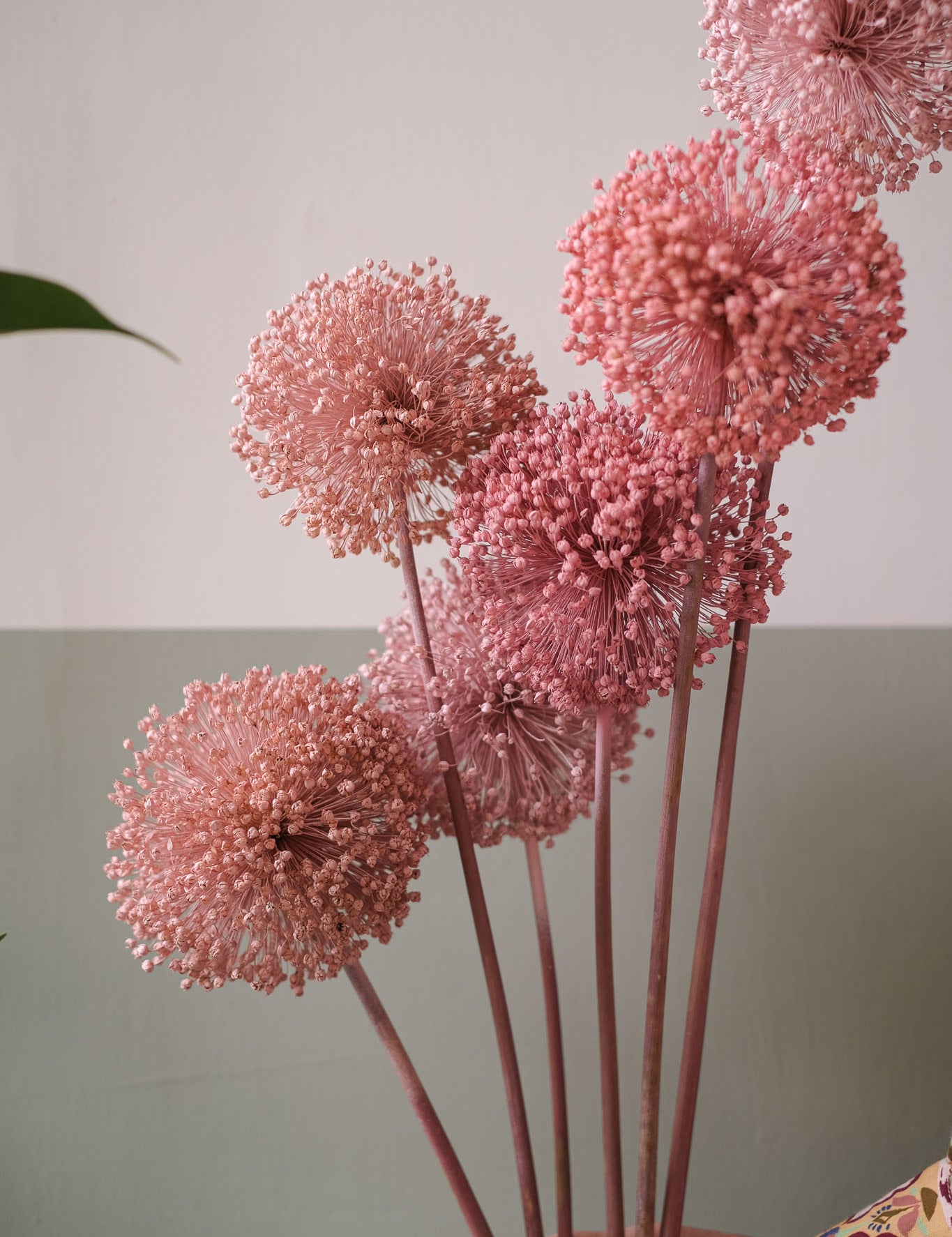 fioriallium-30.jpg