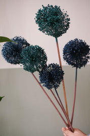 FIORI DI ALLIUM ESSICCATI BLU