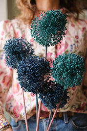 FIORI DI ALLIUM ESSICCATI BLU