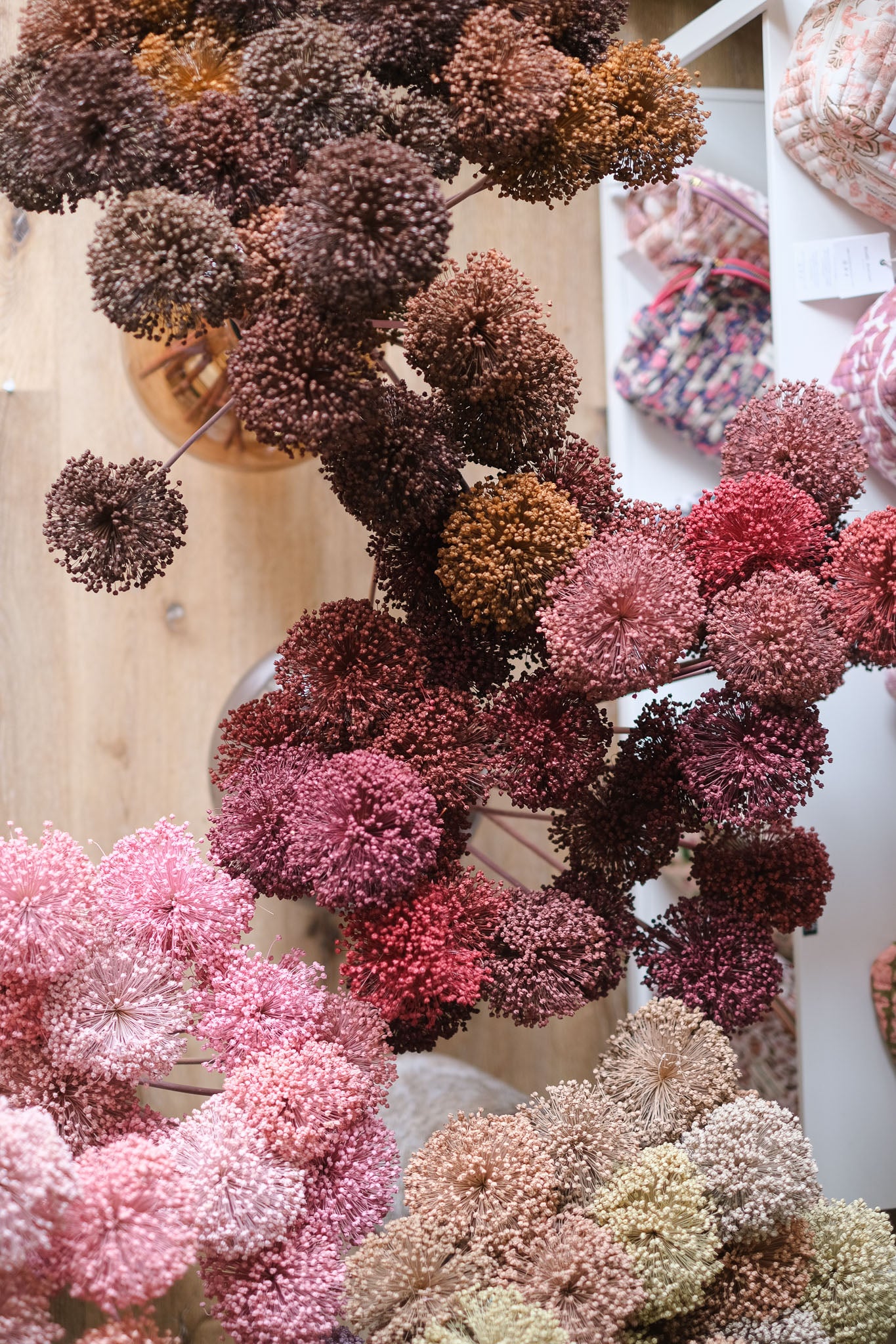 FIORI DI ALLIUM ESSICCATI BORDEAUX