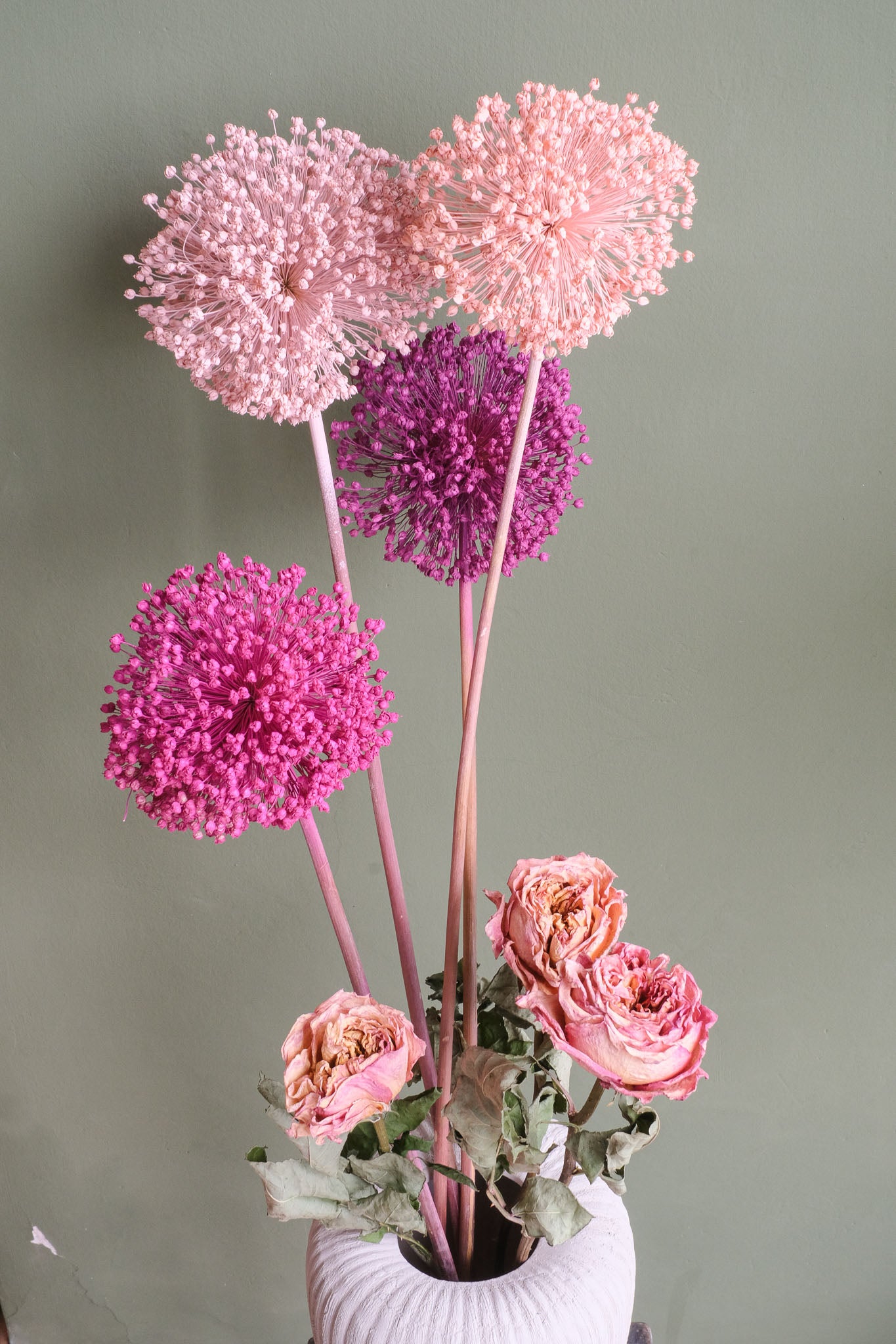 FIORI DI ALLIUM ESSICCATI  ROSA