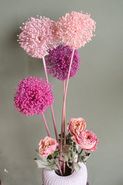 FIORI DI ALLIUM ESSICCATI FUCSIA