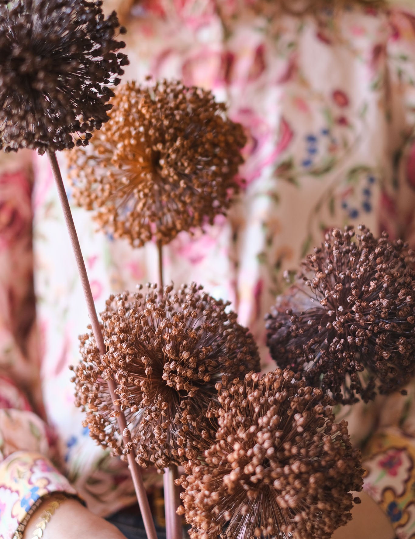 fioriallium-8.jpg