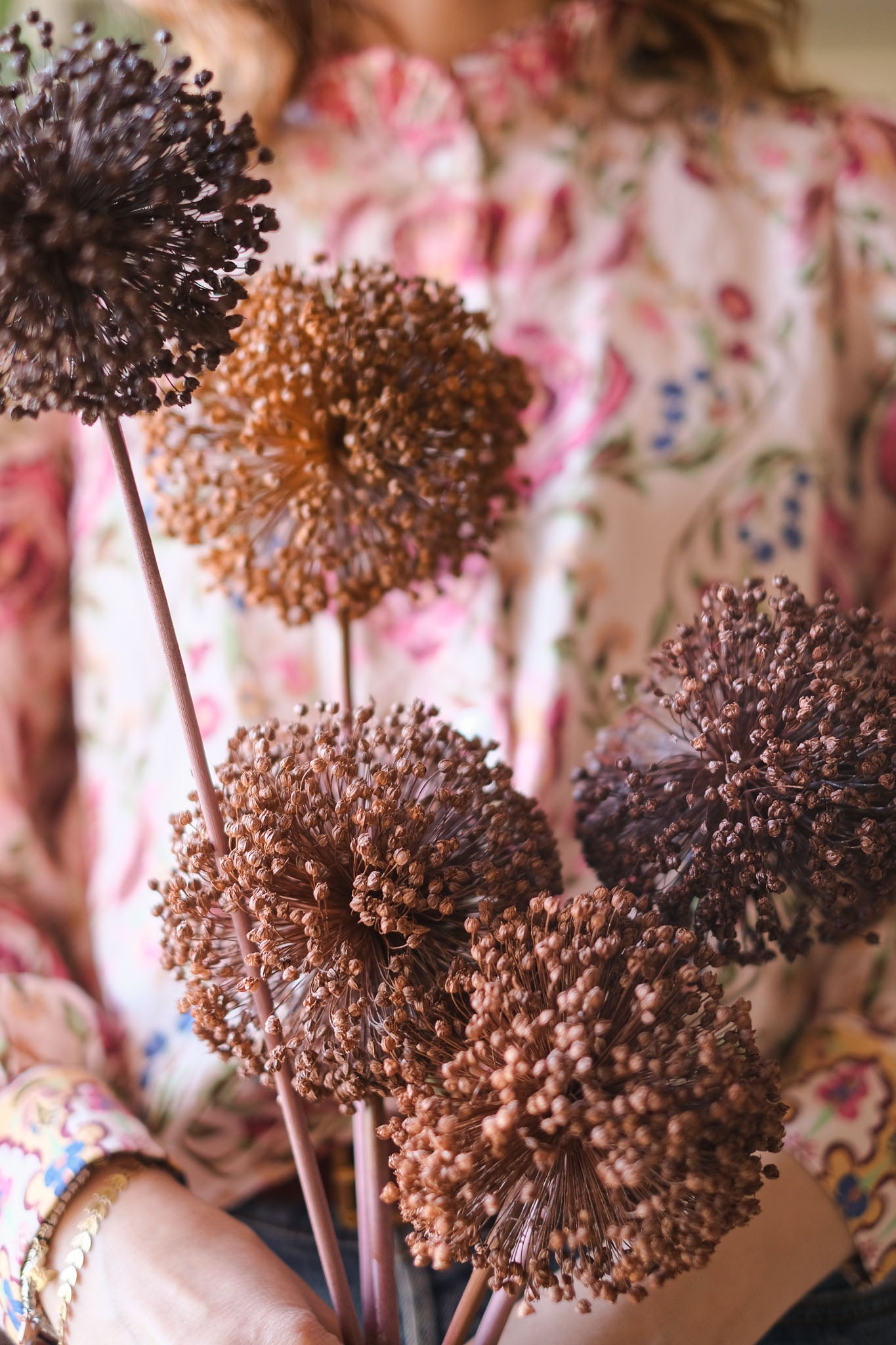 FIORI DI ALLIUM ESSICCATI MARRONE