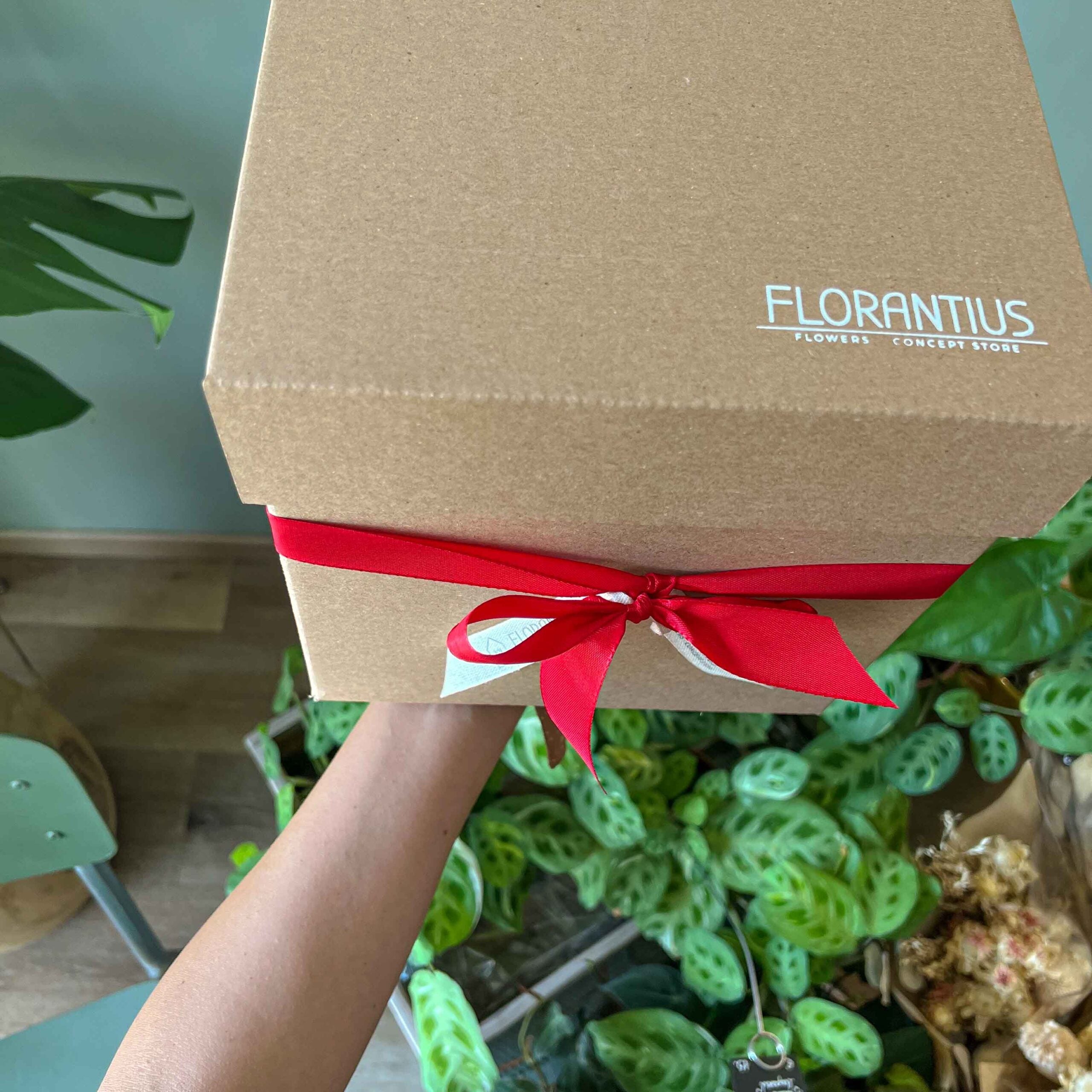 Flower Box Laurea