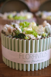 Flower Box Onda Chiusa