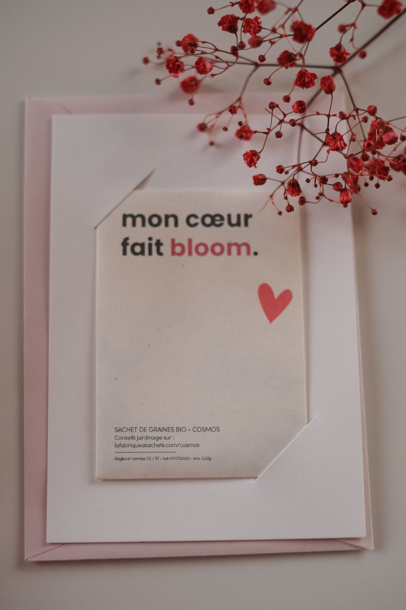 BIGLIETTO SEMINI MON COEUR