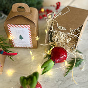 BULBO PANETTONE BOTANICO