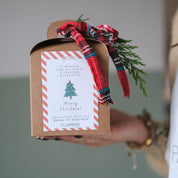 BULBO PANETTONE BOTANICO