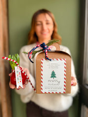 BULBO PANETTONE BOTANICO