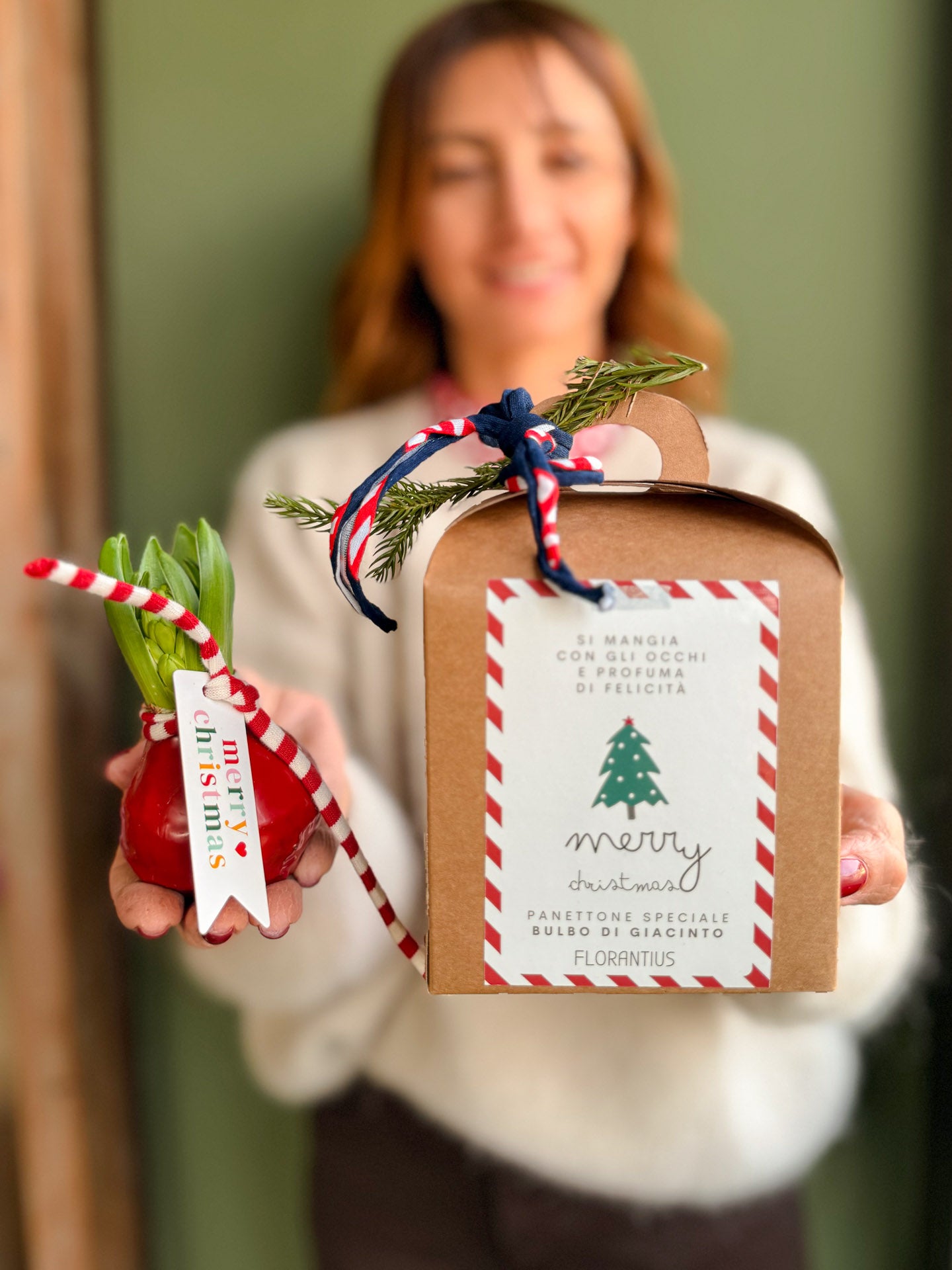 BULBO PANETTONE BOTANICO