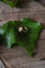ANELLO GINKO