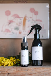 ACQUA AMBIENTE SPRAY POETICA