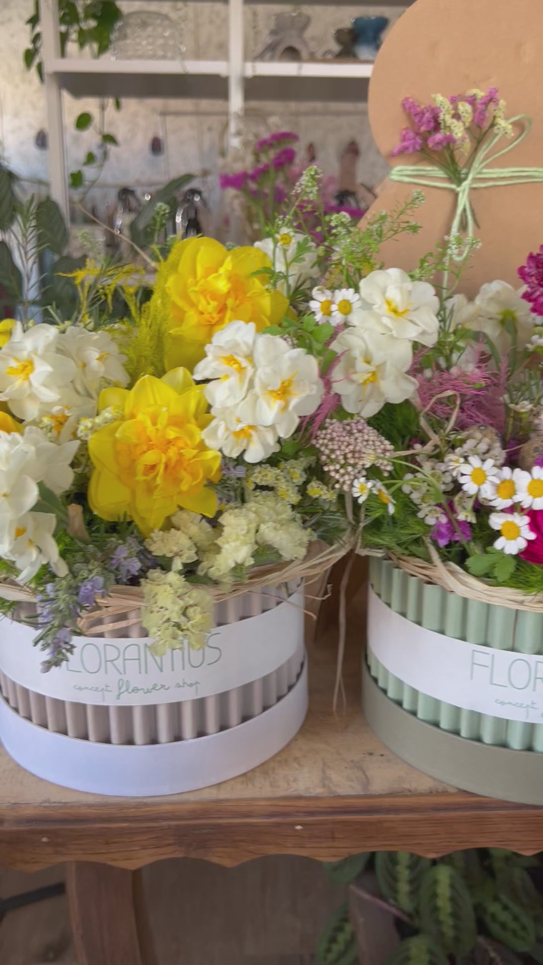Flower Box Onda aperta