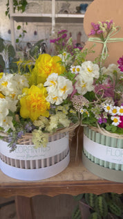 Flower Box Onda aperta